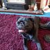 Edith Howell - Facebook