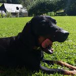 Edith Huber - @almhuettenhuberstmk - Instagram