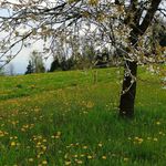 Edith Huber - @edithhube65 - Instagram