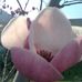 Edith Jorquera - Facebook