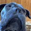 Edith Karlsson - @edithkarlsson - TikTok