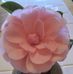 Edith Kennedy - Facebook