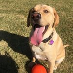 Edith Kenney - @happkenney - Instagram