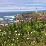 Kent and Edith Photography - @kent_edith_photography - Instagram