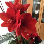 Edith Kern - Facebook