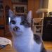 Edith Kern - Facebook