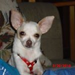 Edith Kern - @obehon2 - Instagram