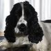 Edith Kern - Facebook