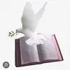 Edith Kerr - @edith.kerr - TikTok