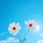 Edith Key - @edit_hkey - Instagram