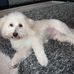 Edith Kieffer - Facebook