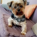 Edith Klein - @ekl54170l - Instagram