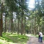 Edith Strack - @edith.klein.35 - Instagram