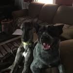Edith And Brinley Knox - @edith.and.brinley - Instagram