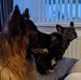 Edith Knox - Facebook