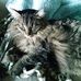 Edith Knutson - Facebook