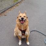 Edith Koch - @edith.koch.54 - Instagram