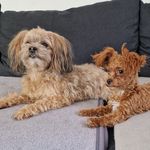 Edith Köhler - @edithkohler98 - Instagram