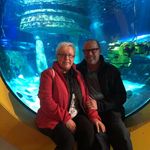 Edith Köhler - @skaquaristik - Instagram