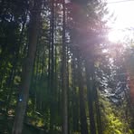 Edith Kozma - Facebook