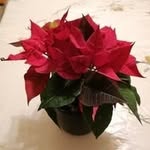 Edith Beate Krauss - @edith_krauss57 - Instagram