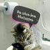 Edith Kraus - Facebook