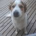 Edith Kraus - Facebook