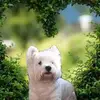 Edith Krause - @edith.krause - TikTok