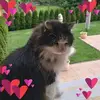 Edith Krause Göbel - @edith.krause.gbel - TikTok