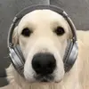 krauseedith - @krauseedith - TikTok