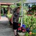 Edith Krause - Facebook