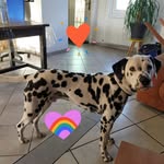 Édith Aussuet Ep Kujawa - @aussuetepkujawa - Instagram
