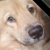 edithlacsoncastro - @edithlacsoncastro - TikTok