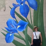 Edith Lafleur - Facebook