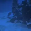 lafleuredith - @lafleuredith - TikTok