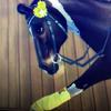 Edithlakehill - @edithlakehill.sso - TikTok