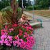Edith Landry - Facebook