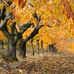 Edith Lapointe - Facebook