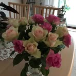 Edith Larsen - Facebook