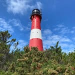 Edith Laufer - @edith.laufer - Instagram