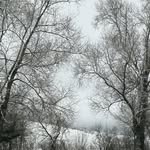 Edith Laurent - @aumoulinderigny - Instagram