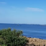 Edith Laurent Donnez - @edithlaurentdonnez - Instagram