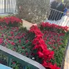 اميراتي ❤️ - @edithlawrence673 - TikTok