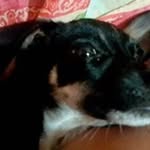 Edith Jazmin Lechuga Venegas - @edithjazminlechuga - Instagram