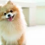Edith Lefebvre - @edithlefebvre1 - Instagram