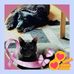 Edith Lefebvre - Facebook