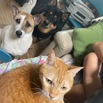 Edith Lin - Facebook