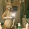 TIM CANGURO 🦘 - @edith_lindura_de_corazon - TikTok