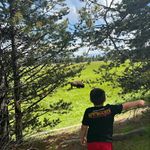 Edith Linke - @linkedith17 - Instagram