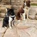 Edith Linklater - Facebook